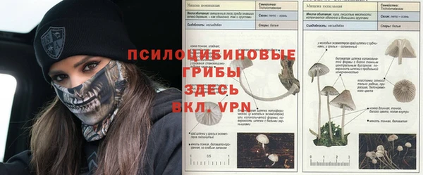 герыч Бронницы