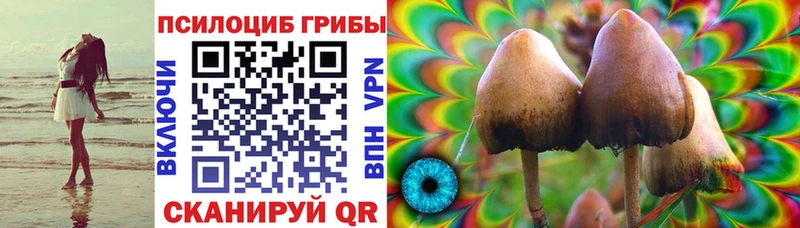 blacksprut ONION  купить закладку  Конаково  Галлюциногенные грибы ЛСД 